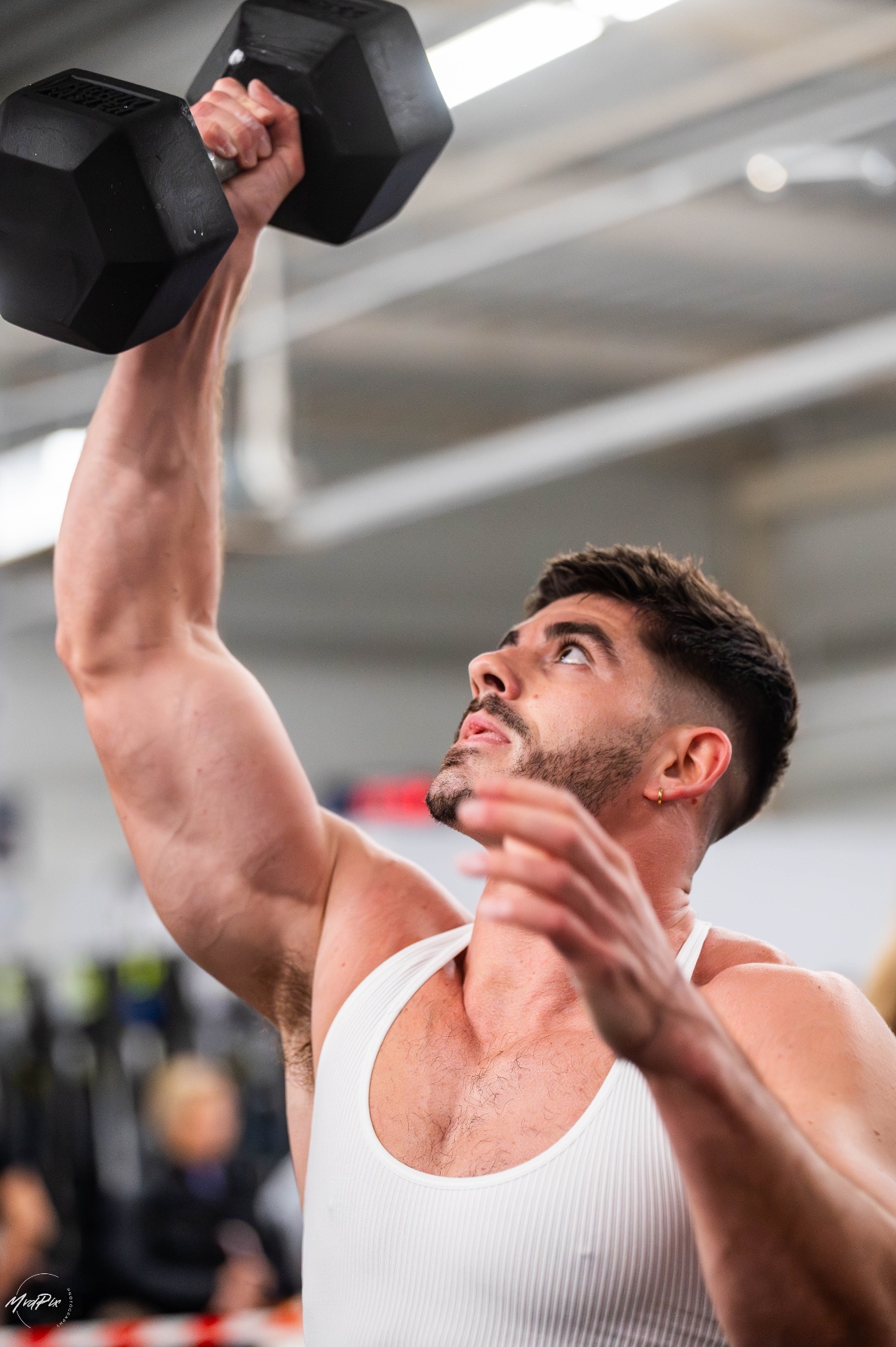 Coaching Muscu